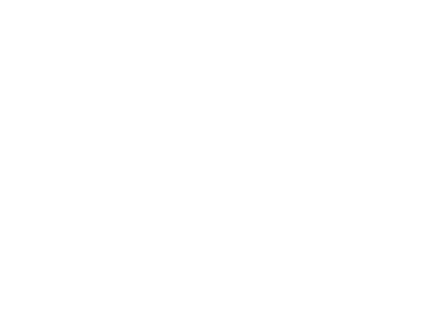 Devine Animation partner logo
